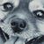 Barbara Bryce's profile image