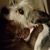 Kristi Beavers's profile image