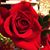 Jo Anne Hanahan's profile image