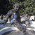 Matthew Whisman's profile image