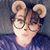 Shaina Renee Beckworth's profile image