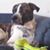 Megan Lounsbury's profile image