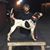 Gary Dennis Burner's profile image