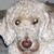 Riki Liford's profile image