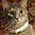 Vicki G Natschke Smith's profile image