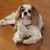 Harriet Elzy's profile image