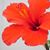 Teri K Harkins's profile image