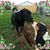 Kelly Davis Wolford's profile image