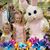 Emily Catron's profile image