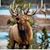 Ron Hopper's profile image