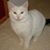 Barbara Pottorff's profile image
