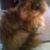 Francie Gale Duffield's profile image