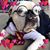 Kelli Williams Alldredge's profile image
