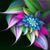 Glenda Mutschler's profile image