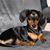 Janet Wilson's profile image