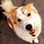 Matthew Kittleson's profile image
