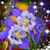 Dani Poquette's profile image