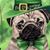 Vicki Johnson's profile image