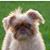 Dawn Black's profile image
