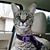 Erin Sedine's profile image