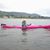 Carol Kriesel's profile image