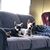 Brenda Adams's profile image