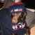 Alicia Gattozzi's profile image