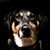 Nica Jadoch's profile image
