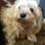 Patsy Cowden's profile image