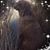Jane Giavelli Lauhon's profile image