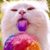 Cindy Hauff's profile image