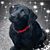 Becky Schwan's profile image