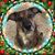 Stacey Brown's profile image