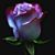 Teresa Brown's profile image