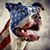 Mike Costa's profile image