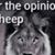 Leroy Jackson's profile image