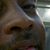 Clarence E Leggs Jr.'s profile image