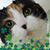 Sherry Shaw Watkins's profile image