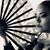 Maelini Marie Whitehorse's profile image