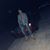 Brandon Michael's profile image