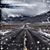 Tonie Flaherty's profile image