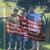 Michelle Richardson Davilla's profile image