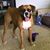 Dawn Bennett-Adkins's profile image