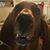Derek Druley's profile image