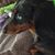 Becky A Schepers's profile image