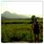 Whitney Gunderson's profile image