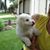 Susan DuFresne's profile image