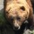 Brian Perret's profile image