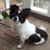 Margaret Mccord's profile image
