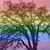 Amy Propp's profile image
